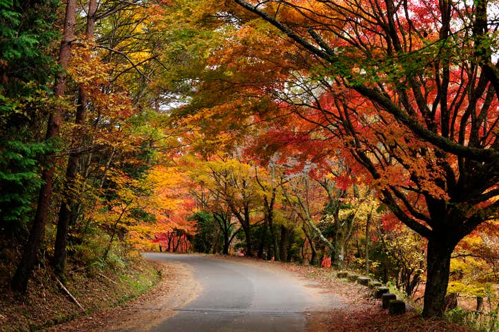 A colorful, open road 五颜六色的开阔道路