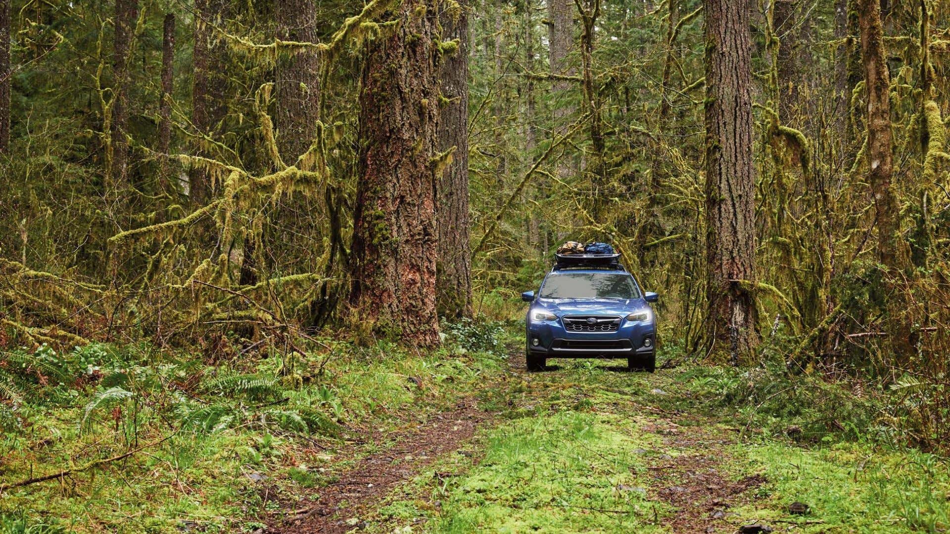 A Subaru Crosstrek looking for a camping spot. 一个斯巴鲁克斯西尔克寻找野营地点。