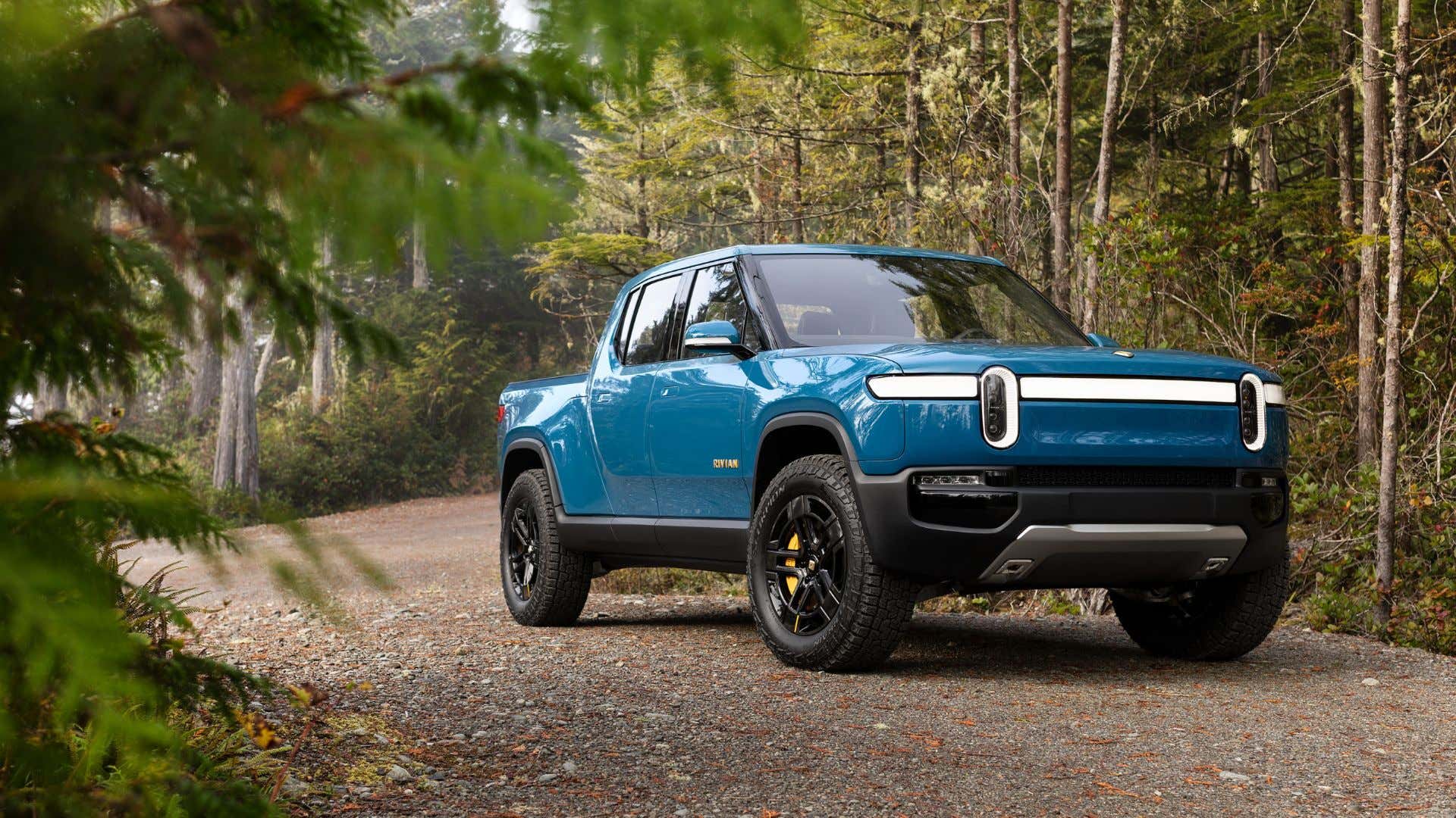 Rivian looking good among the forest in blue. 看起来在蓝色的森林中的rivian好。
