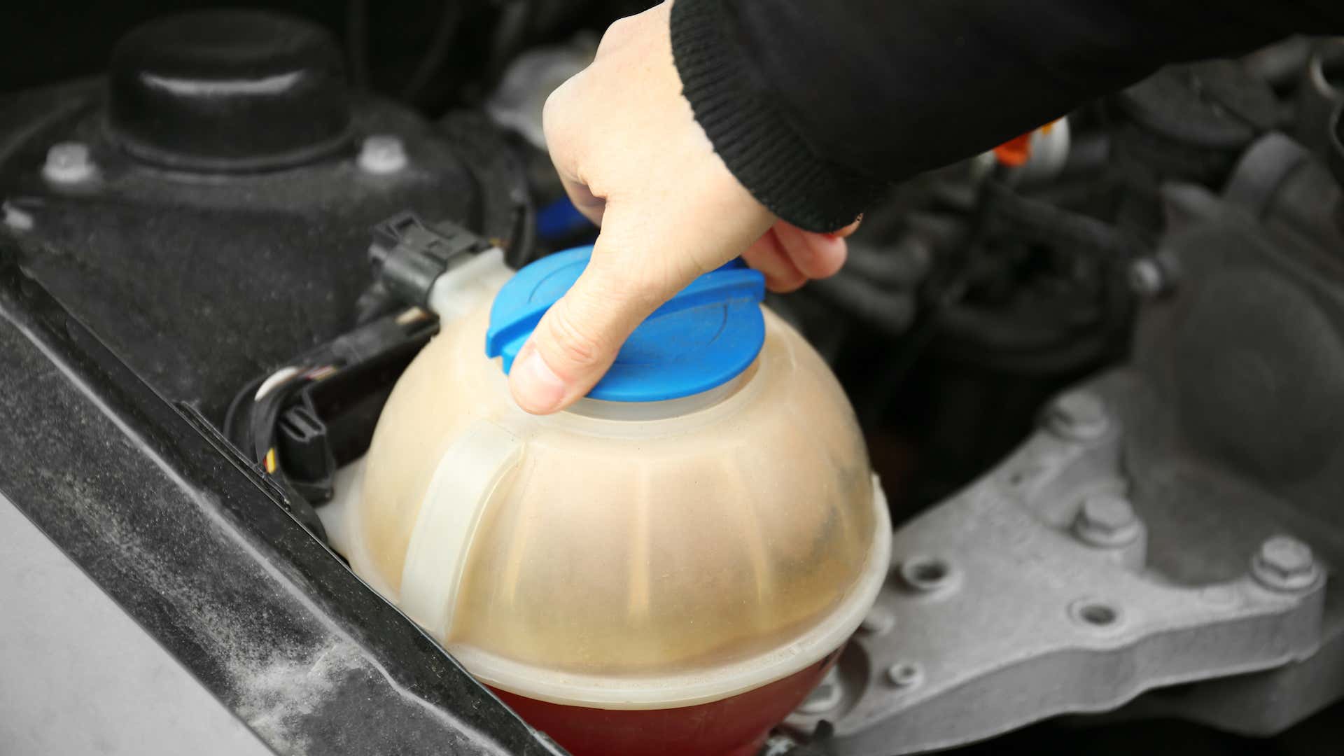 The coolant reservoir will look different depending on the vehicle. 冷却剂储存器根据车辆看起来不同。