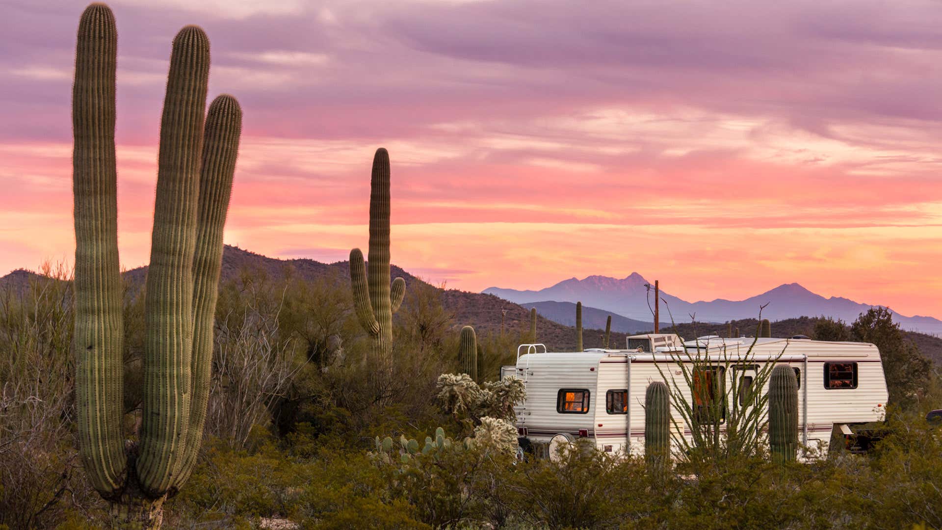 A fifth-wheel RV is parked amongst cacti in the desert. 一辆五轮房车停在沙漠里的仙人掌丛中。