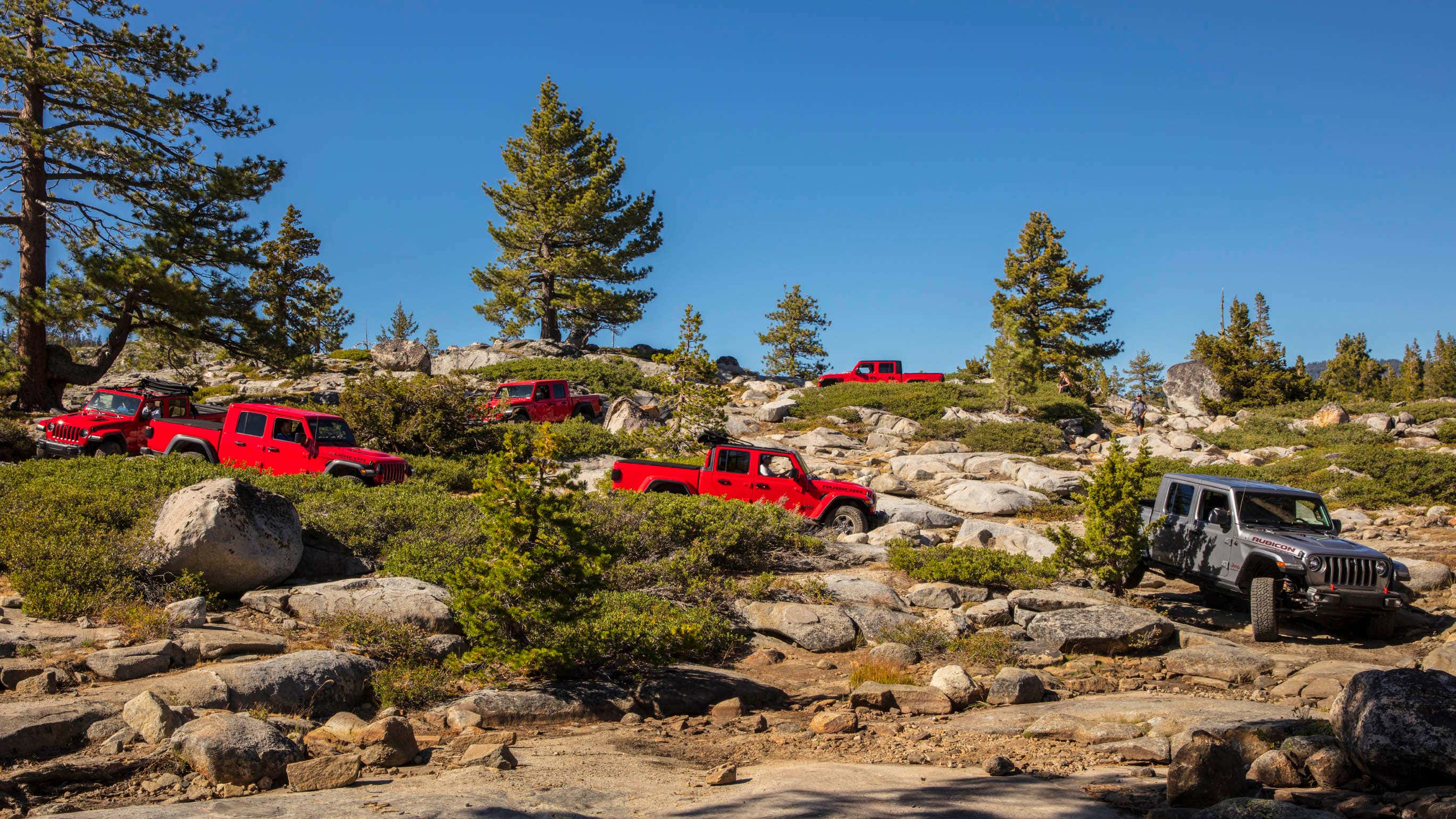 Numerous Jeep Gladiators drive down a hill. 众多Jeep Gladiators沿着山上驾驶。